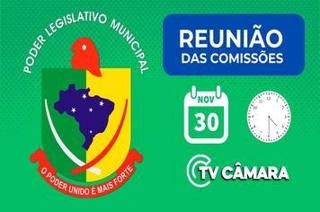 REUNIÃO DAS COMISSÕES PERMANENTES ACONTECE NA QUINTA-FEIRA, 30 DE NOVEMBRO DE 2023